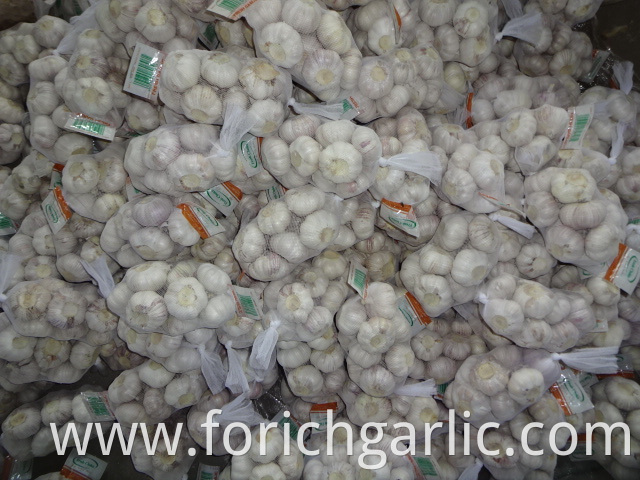 High Quality Fresh Normal White Garlic